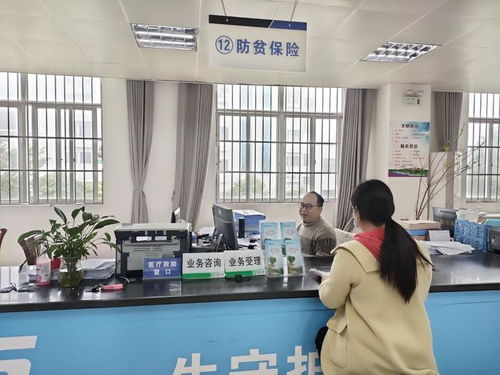 廣西“防貧?！贝蛟煲徽臼椒招聵藯U，煙臺教育咨詢助力鄉村振興新篇章