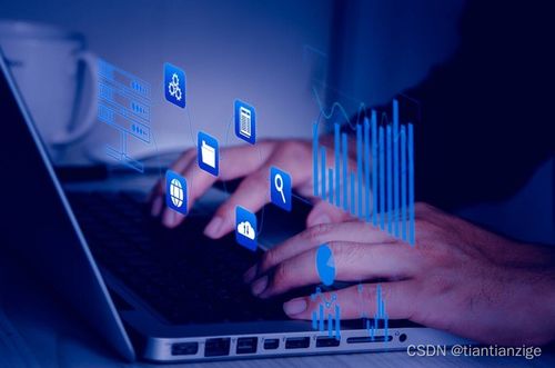 數字時代的文化傳承 論Facebook的文化責任與數字文化創意服務